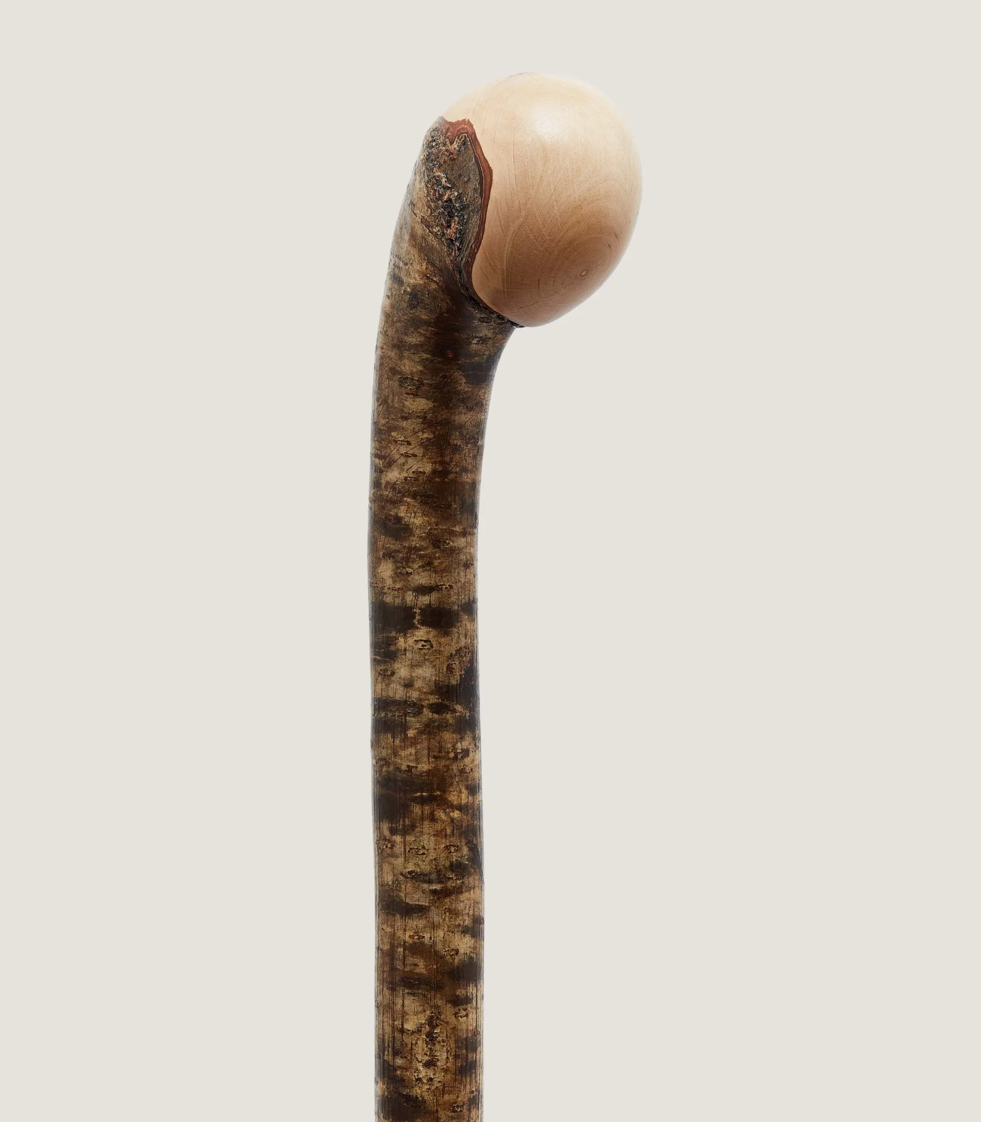 hazel_knob_stick_in_natural_2.webp Purdey Hazel Knob Stick In Natural